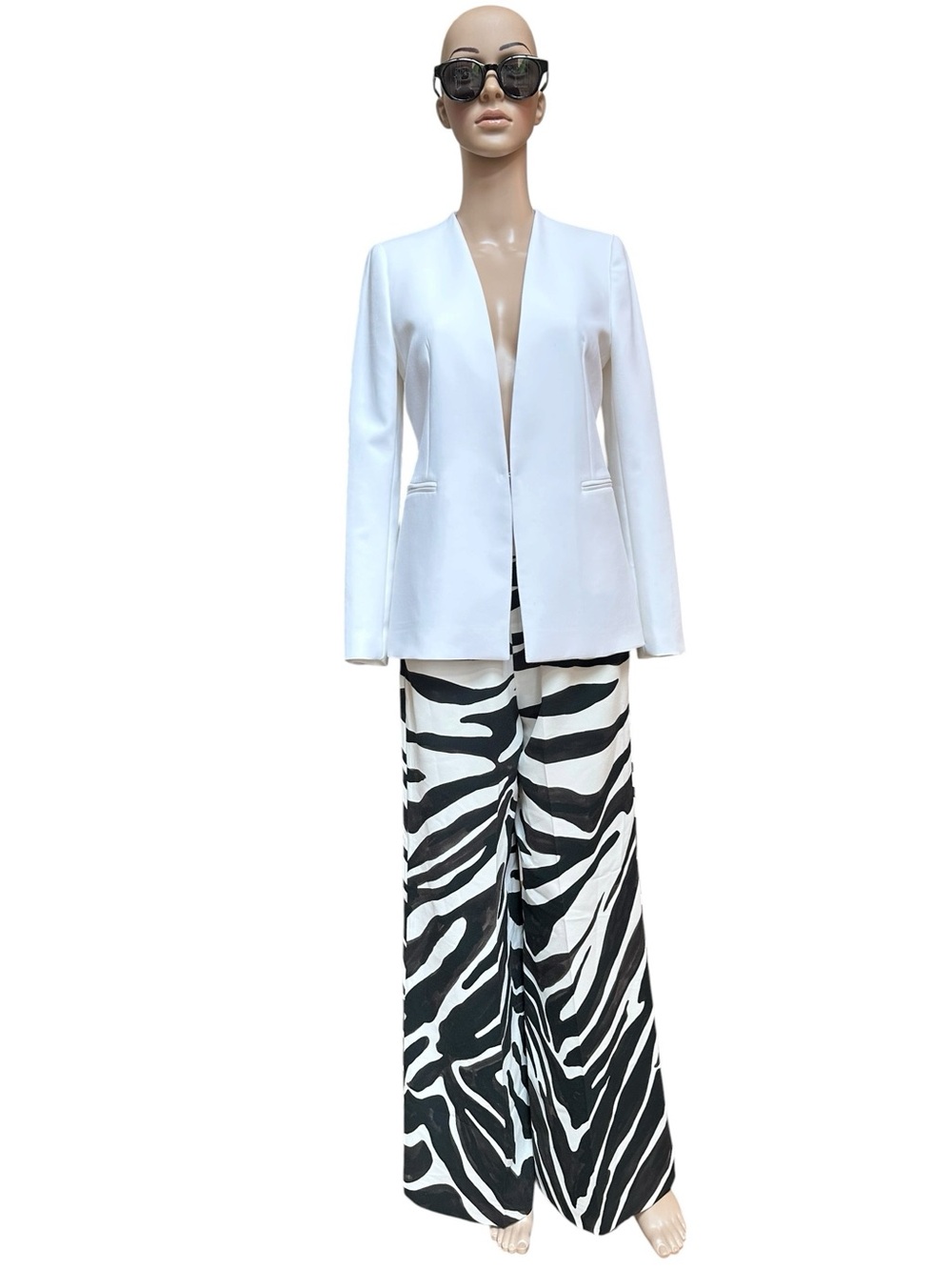 Zara Wide Lag Zebra Print Pants, NWT, L